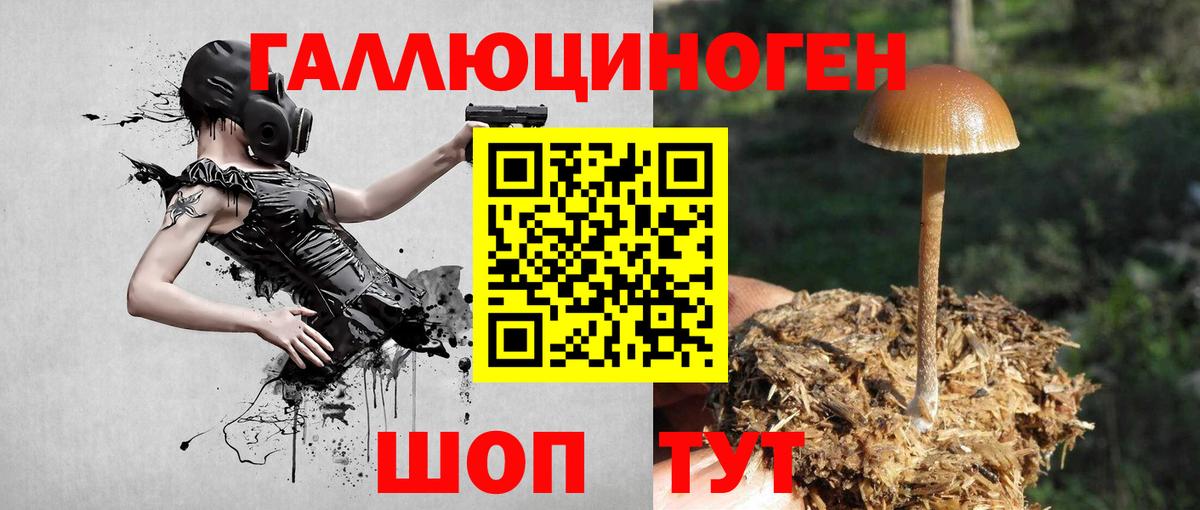 закладка  Вход с VPN  Кировск  Псилоцибиновые грибы Magic Shrooms 